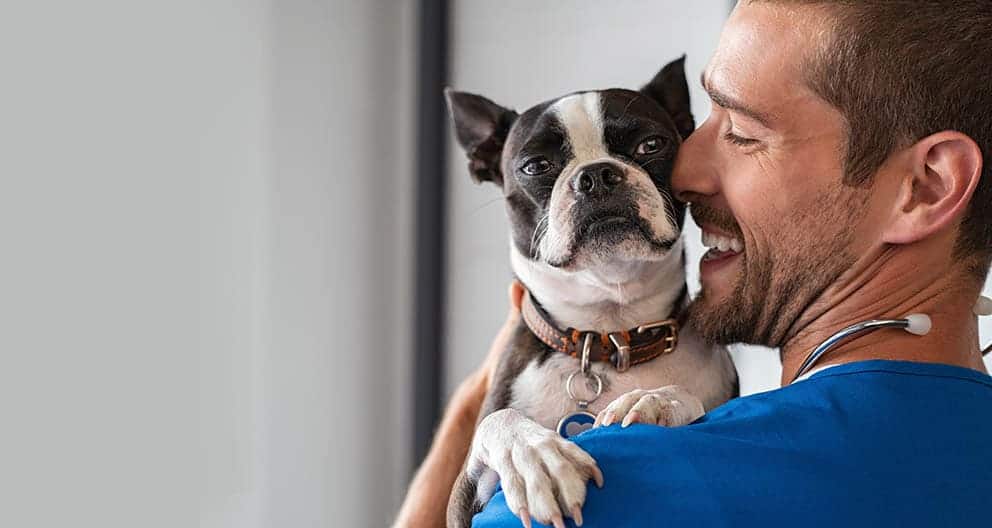 Contact Center veterinario